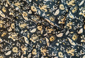 Printed Cotton